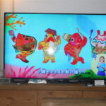 SHARP シャープ 液晶TV LC-50U30 16年製 50V型